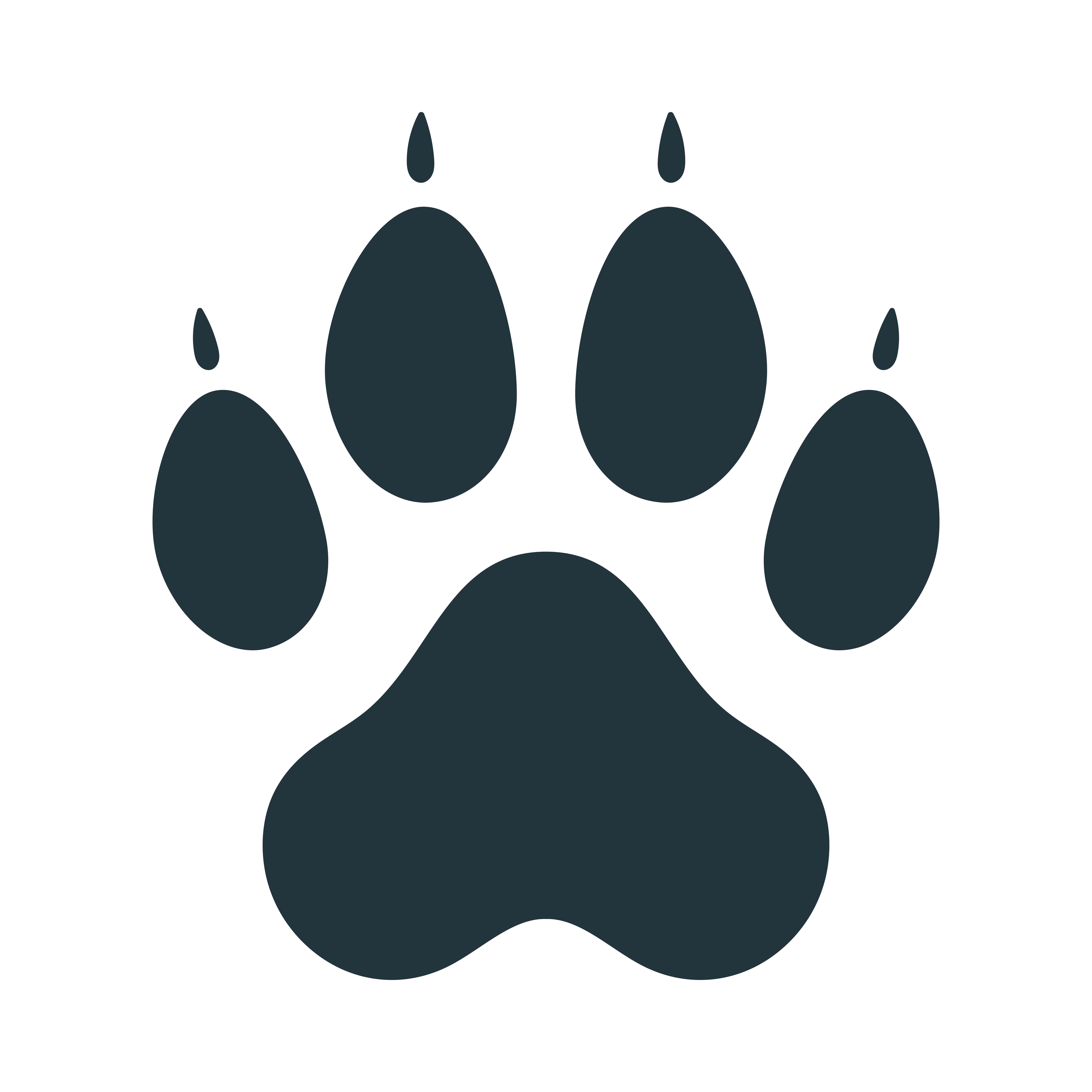 Sophia's Cat Care Logo